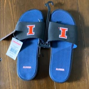 University of Illinois slides